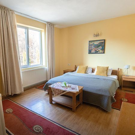 Pensiunea Limpedea Baia Sprie Zewnętrze zdjęcie
