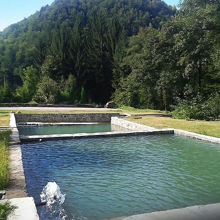 Pensiunea Limpedea Baia Sprie Zewnętrze zdjęcie